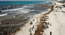 Playas de Florida y el Caribe en alerta por la llegada de 31 millones de toneladas de algas tóxicas