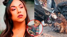 Dayanita filtra impactante imagen del altar que había armado con cráneo humano, muñeco de Chucky y otras 'ofrendas'