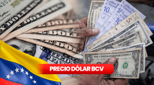 Dólar BCV y Dólar Paralelo HOY, 19 de mayo: tasa del Banco Central de Venezuela y precio del dólar