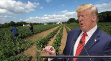 Empresarios de EEUU instan a Trump a flexibilizar su política migratoria por crisis de empleo y escasez de trabajadores