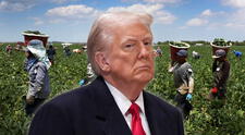 Excelentes noticias para inmigrantes en EEUU: Trump promete frenar deportaciones de grupo clave de extranjeros