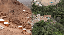 La selva escondida en desierto de Lima: mujer ayacuchana crea oasis verde con más de 100 especies en SJL