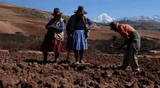 Más de 32 mil hectáreas de cultivo en riesgo por intensas heladas en la región de Arequipa