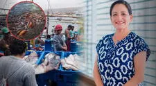 Especialista de la UNMSM revela la razón detrás de la masiva cantidad de pota en las playas de Lima: "Se están presentando eventos oceanográficos"