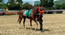 Resultados 5y6 La Rinconada, 6 de julio: caballos ganadores, órdenes de llegada y cómo quedó el 2do paso de la triple corona