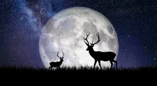 Luna de ciervo 2025: cuándo ver esta luna llena de julio y cuál es su significado