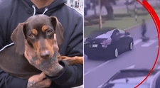 Encuentran a perrita 'Rumi', que desapareció tras atropello junto a su cuidadora en Miraflores