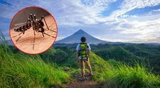 Minsa recomienda medidas clave contra el dengue para quienes viajen por Fiestas Patrias