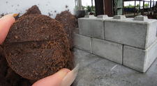 Científicos descubren que los residuos del café molido pueden mejorar la dureza del cemento de construcción