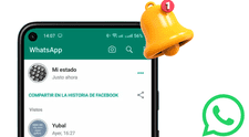 WhatsApp permitirá activar alertas cuando un contacto publique un estado: función estará oculta para ellos