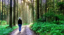 Científicos descubren que estar 20 minutos en el bosque contribuye a la reducción del estrés y al bienestar psicológico