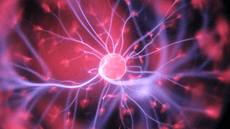 Hallan un nuevo tipo de células en el cerebro humano: podría ser clave en el alzhéimer, el párkinson y la epilepsia