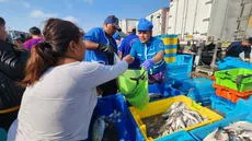 Semana Santa: el precio del bonito sigue subiendo y se vende a S/6,00 el kilo