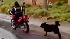 Puno: sereno amarra a un perrito herido a su moto y lo arrastra por calles de la ciudad