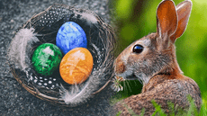 Semana Santa 2024: ¿cómo surgió la historia del conejo de Pascua en Estados Unidos?