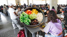 Comedor de la UNMSM podría tener opciones veganas: PJ admite recurso de amparo de estudiantes