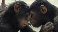 ‘El planeta de los simios: nuevo reino’: ¿la nueva película de la saga tiene escenas poscréditos?