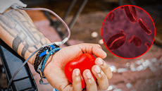 Científicos se encaminan a una posible forma de que la donación de sangre sea universal