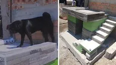 Dueña construyó minivivienda para su perrito y usuarios dicen: “Firulays con casa propia”