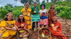 El famoso 'oro negro' de Satipo: comunidad asháninka exporta milenaria fruta al extranjero