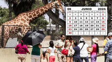 ¿El viernes 7 de junio es feriado en Perú? Esto dice El Peruano
