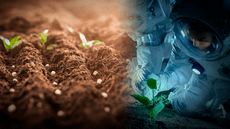 La innovadora forma con la que buscan cultivar vegetales en Marte con ayuda de los mayas
