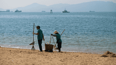 El país de América Latina que posee menos basura en sus playas: tiene el mar y la arena libre de residuos