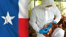 Las autoridades de Texas emiten alerta sobre propagación de la gripe aviar en el condado de Brazos