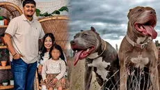 Niña de 4 años y su cuidadora mueren tras brutal ataque de 6 perros pitbulls