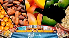 Exportaciones regionales del Perú crecieron casi 30% en el primer bimestre de 2025