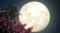 Calendario lunar de mayo: cuándo habrá luna llena este mes y ver todas las fases lunares