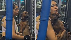 Joven llevó a su perrito al gimnasio y sorprende a usuarios con insólita razón: “Vio a su ex papá”