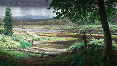 Científicos reconstruyen por primera vez y con nitidez un bosque donde vivían los dinosaurios hace 120 millones de años