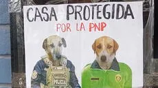 Tienda coloca divertido cartel con la fotografía de sus perritos y son furor en redes: “Protegida por la PNP”