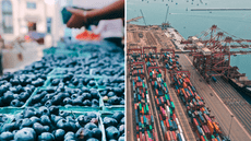 Agroexportaciones peruanas siguen creciendo en 2025: uvas y arándanos impulsan el sector que suma casi US$3.000 millones