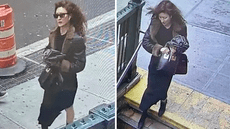 Mujer en Nueva York apuñala a hombre por tomarle una foto sin su consentimiento