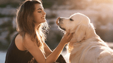 Qué revela la psicología sobre las personas que siempre acarician a todos los perros que ven