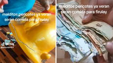Peruano guarda su dinero en una alcancía, pero descubre que ratones se comieron sus billetes de S/100: “Mis ahorros, mi dinero”