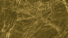 La obsesión de los nazca por representar animales no solo se encuentra en sus famosas líneas