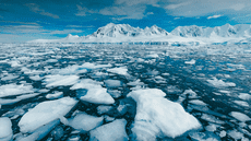 Científicos revelan que el derretimiento de los hielos está volviendo más saladas las aguas de los océanos