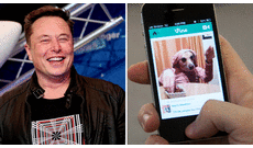 Elon Musk quiere revivir Vine, el antecesor de TikTok: "Lo traeremos de vuelta, pero en forma de IA"