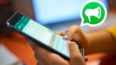 ¿Qué son las listas de difusión de WhatsApp y qué ocurre si las usas en exceso? Esto dice Meta