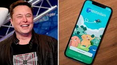 Esta red social intentó destronar al Twitter de Elon Musk: ahora pide donaciones para sobrevivir