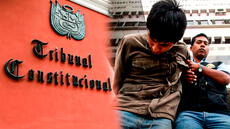 Tribunal Constitucional admite a trámite demanda contra ley que penaliza a menores de 16 y 17 años