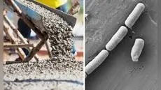 Científicos crean cemento biohíbrido que guarda electricidad y recupera 80% de su capacidad original
