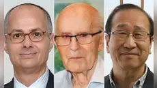 Nobel de Química 2025: Susumu Kitagawa, Richard Robson y Omar Yaghi ganan premio por crear una nueva arquitectura molecular