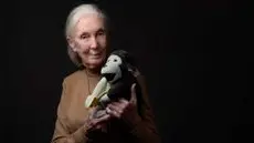 Jane Goodall, la dama de los chimpancés, en entrevista póstuma: "Enviaría al espacio a Trump, Musk, Putin y Netanyahu"