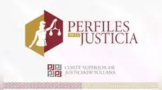 Política criminal, seguridad ciudadana y flagrancia delictiva