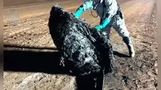 Una rara estructura cayó en el desierto de Australia y los científicos intentan saber su naturaleza y origen