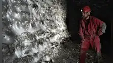 Científicos descubren la telaraña más grande del mundo donde prosperan más de 111.000 arañas en una cueva completamente oscura